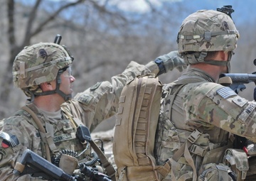 Operation Marble Lion