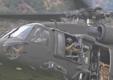 Operation Marble Lion