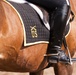 2012 World Cavalry Championships