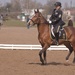 2012 World Cavalry Championships