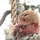 Best Warrior soldiers compete for honors amidst rainforest Best Warrior soldiers compete for honors amidst rainforest