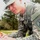 Best Warrior soldiers compete for honors amidst rainforest Best Warrior soldiers compete for honors amidst rainforest