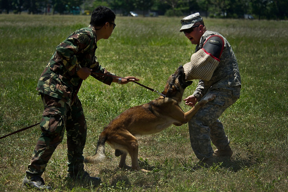 US and Philippine K-9 forces train together during Balikatan 2012
