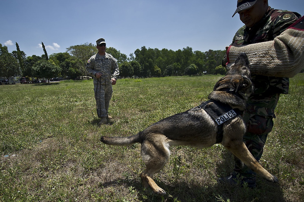 Air forces for dogs