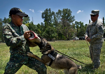 Canine handlers sink teeth into bilateral training during Exercise Balikatan 2012