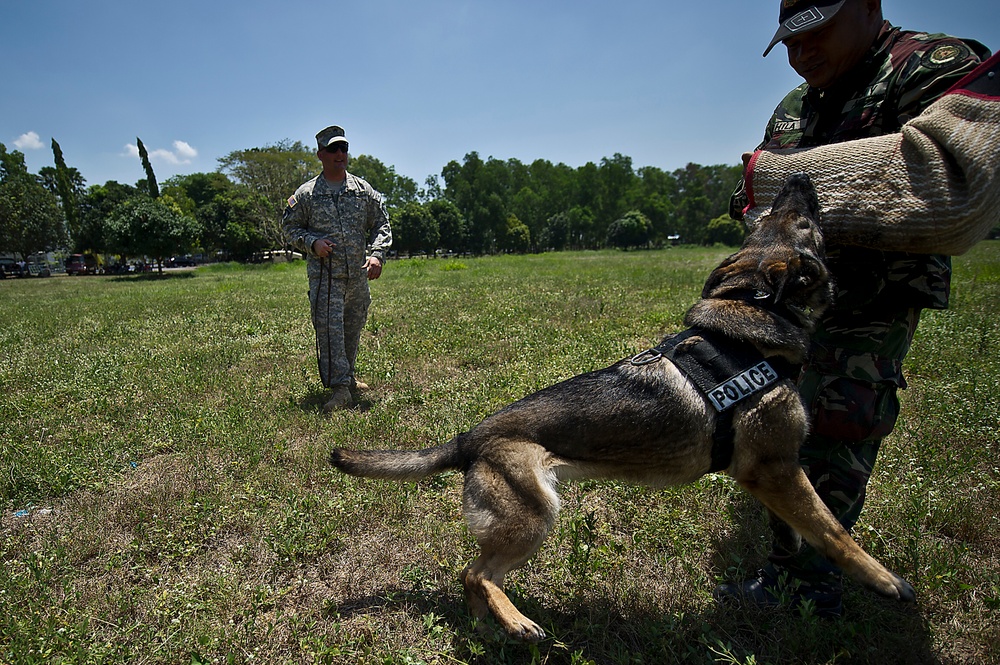 US and Philippine K-9 forces train together during Balikatan 2012