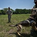 US and Philippine K-9 forces train together during Balikatan 2012