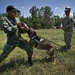 US and Philippine K-9 forces train together during Balikatan 2012