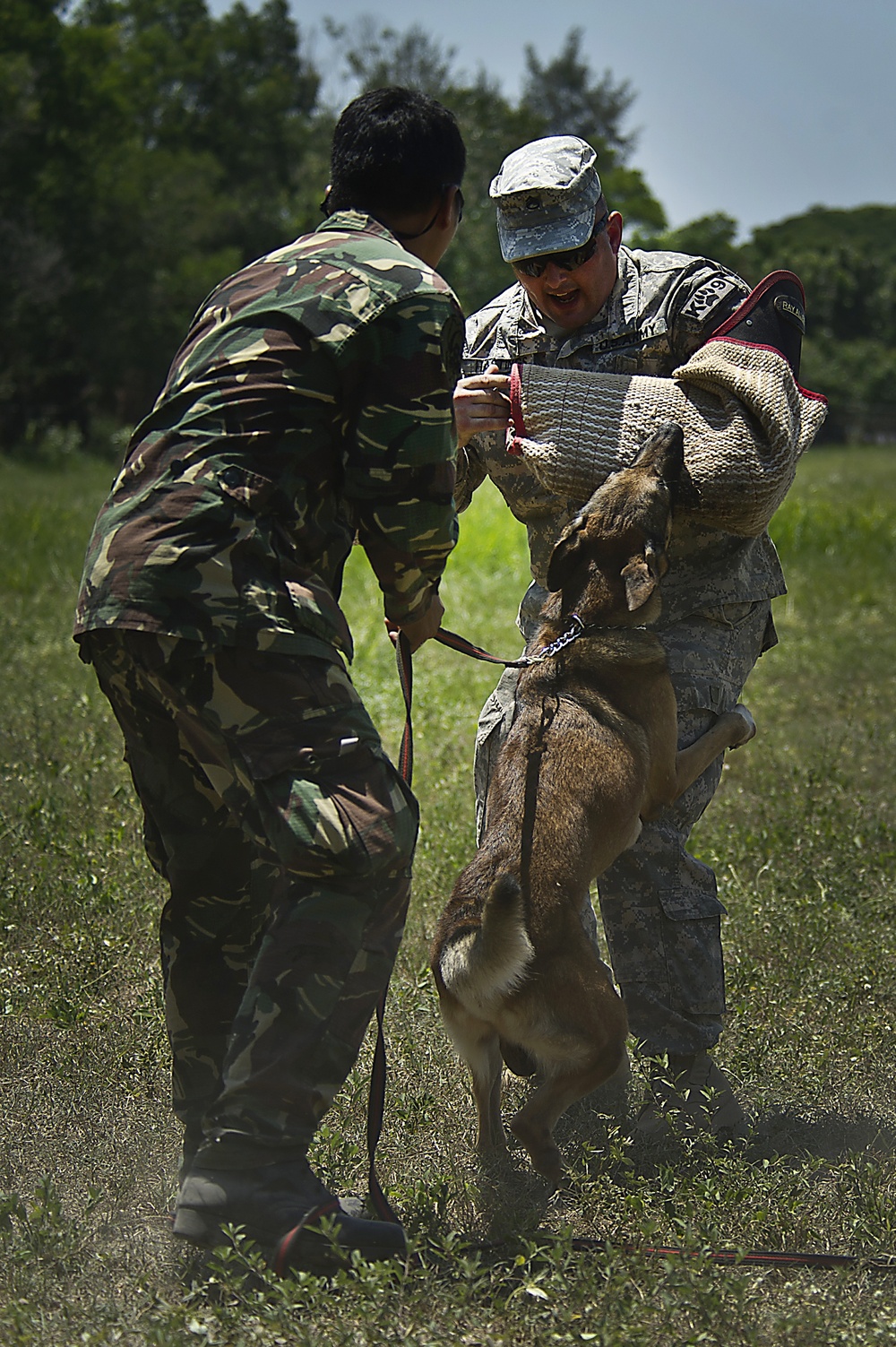 US and Philippine K-9 forces train together during Balikatan 2012