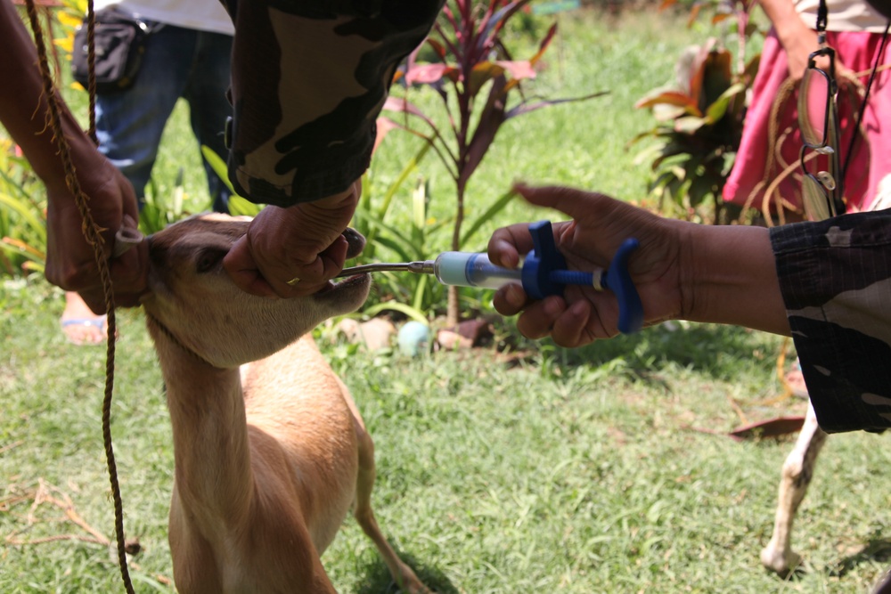 Exercise Balikatan 2012