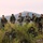 AFP, US forces seize objective shoulder-to-shoulder