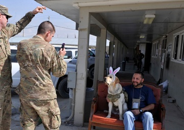 Major Timmy aids regional mental health goals