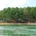 A lakeside campground viewed from the water, showing a wooded shoreline with pine trees and multiple campsites. Several tents, vehicles, and camping setups are visible among the trees on a sloped, sandy bank. Two or three motorboats are anchored near the shore with people gathered around them in the water.