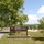 The image shows the entrance sign for Lillydale Recreation Area at Dale Hollow Lake, managed by the US Army Corps of Engineers. The scene depicts a well-maintained park with a paved road, green lawns, mature trees, and a visible lake in the background. The setting suggests a public outdoor recreational facility during summer.