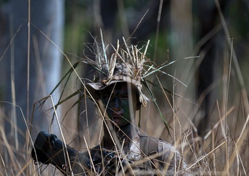 Marines hone tactics, techniques in outback