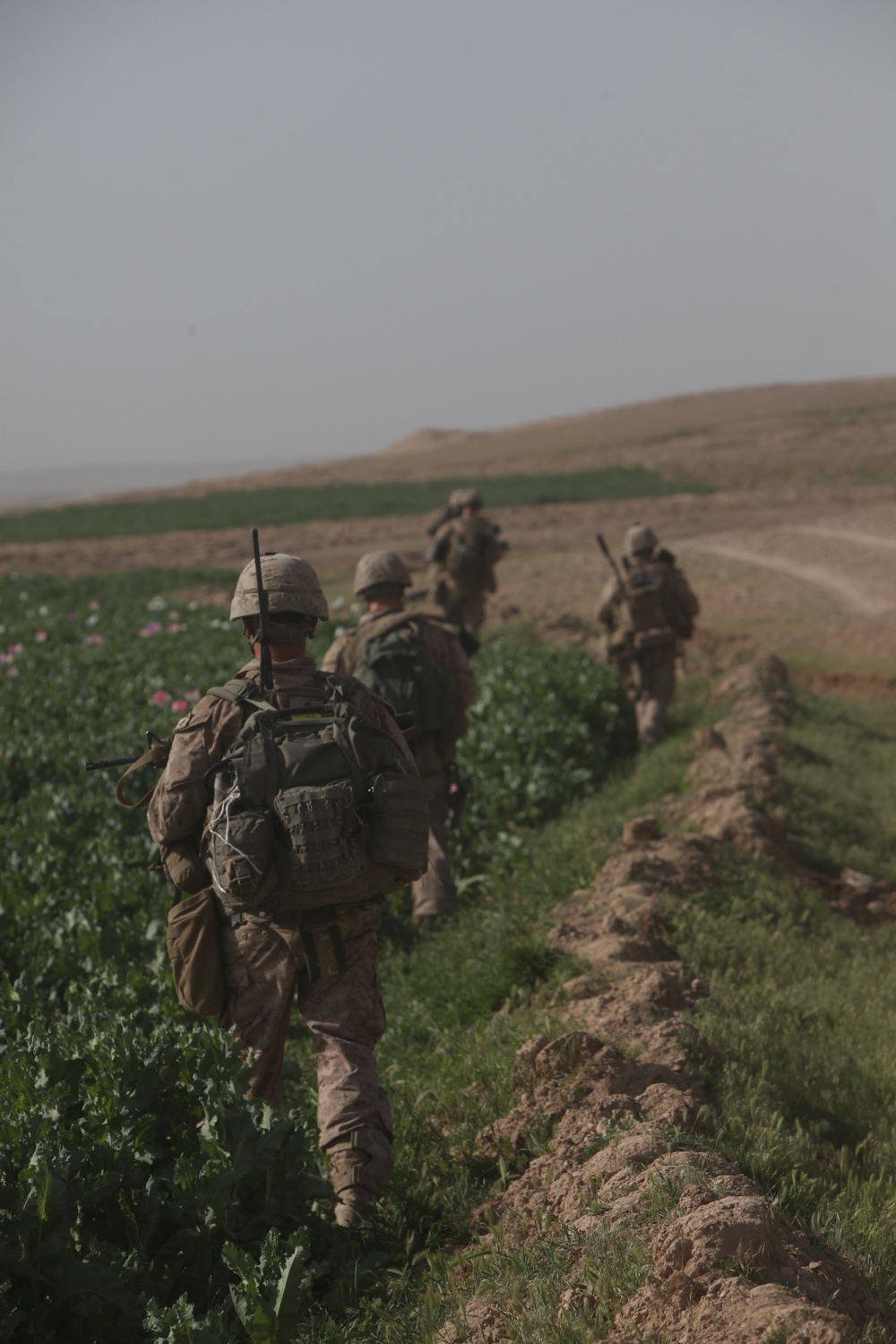 Operation Lariat in the Lui Tal district