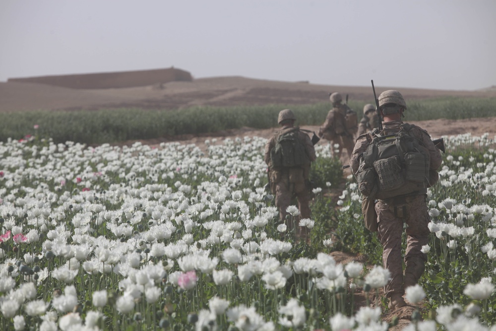 Operation Lariat in the Lui Tal district