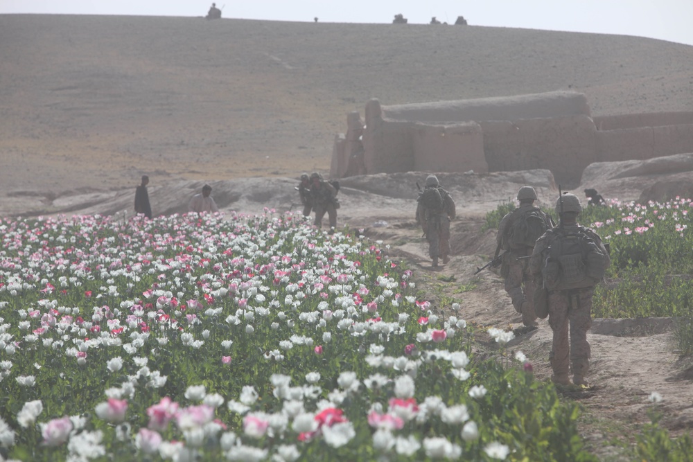 Operation Lariat in the Lui Tal district