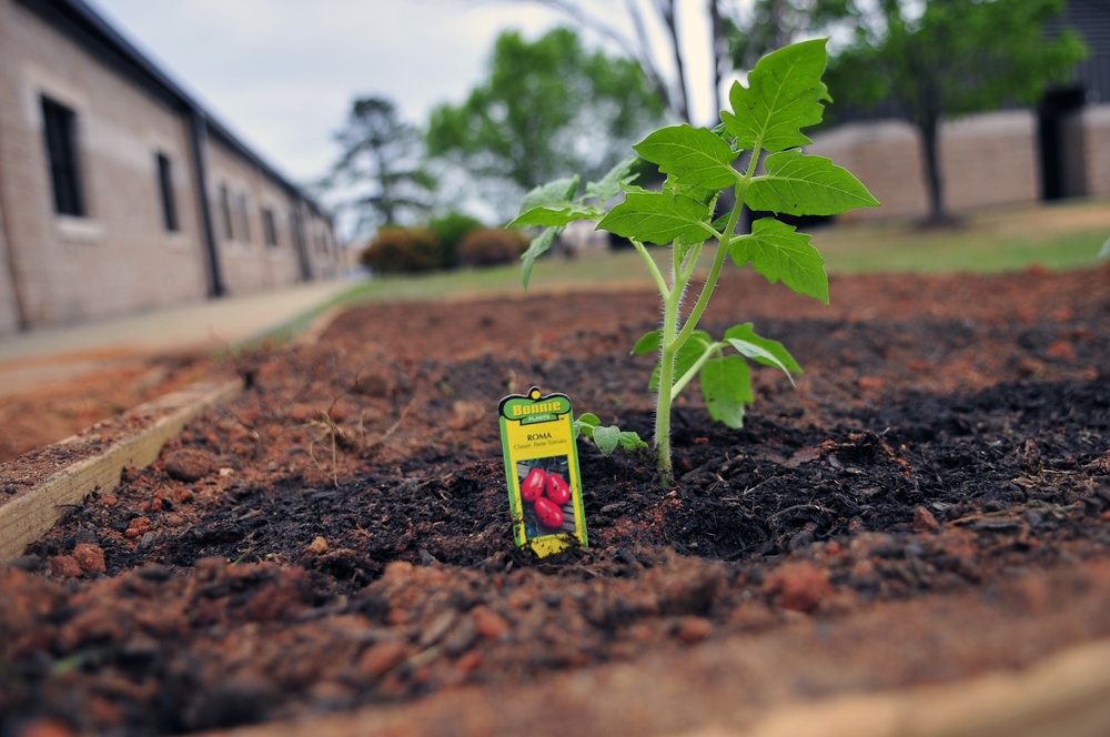 Shaw squadron grows garden for Earth Day