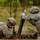 505th Mortars provide indirect fire to FTX 505th Mortars provide indirect fire to FTX