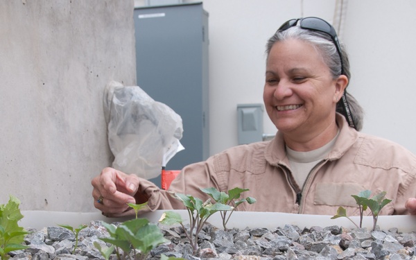 Bunker side garden serves as test bed for small-scale Afghan agriculture