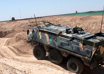 Estonian Armored Personnel Carrier