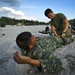 Balikatan 2012 combat lifesaver class for Philippine and U.S. Marine forces