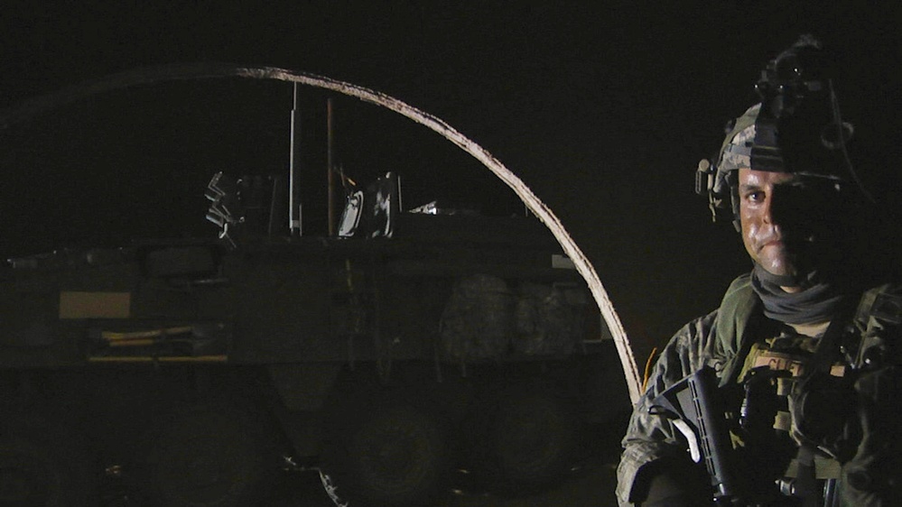 Buffalos under nightly attack