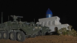 Buffalos under nightly attack