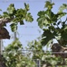 BOSS savors New Mexico’s family vineyard