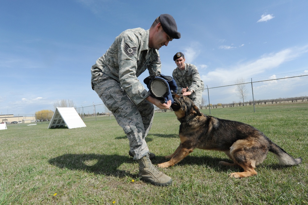 5th Bomb Wing K9's