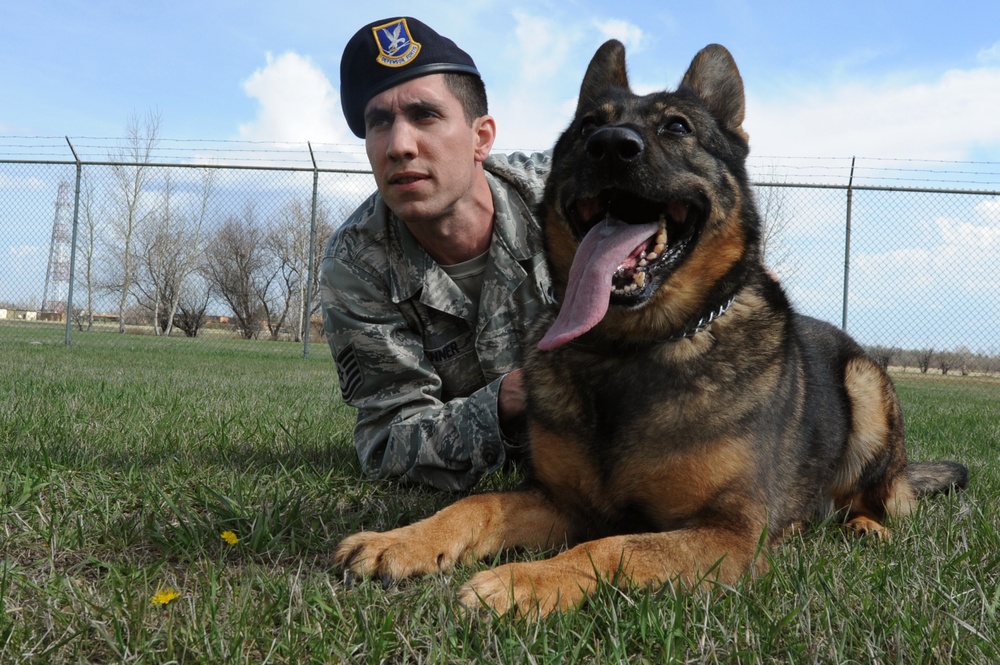 5th Bomb Wing K9's