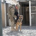 A better defense, military working dogs