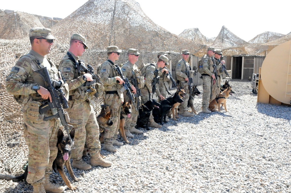 A better defense, military working dogs