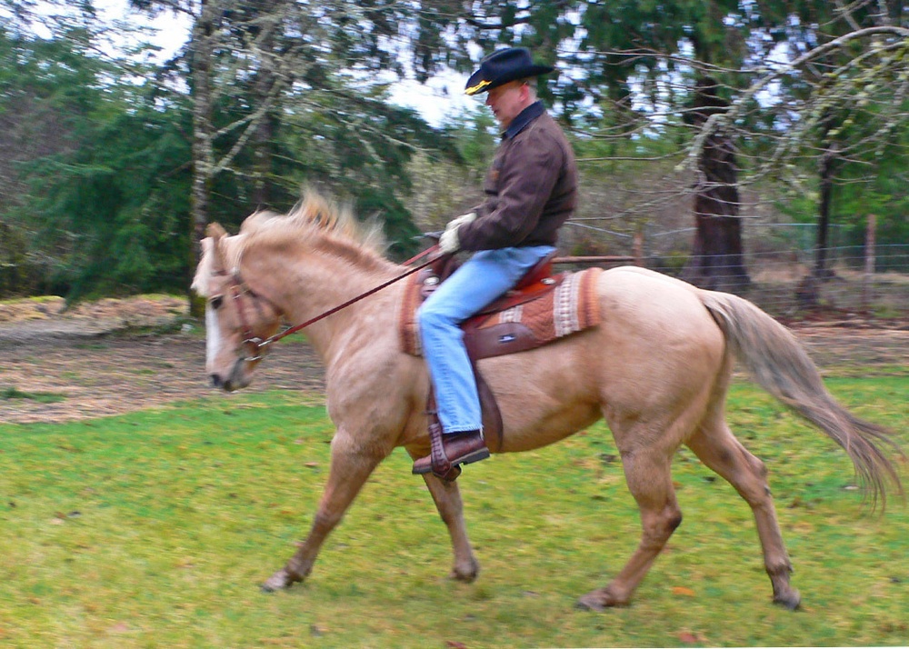 Wounded Warrior opens family ranch: free to all veterans