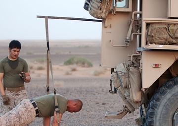 Pumping Iron: Marines stay fit on the road