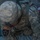 818th Engineer Company MOUT Exercise