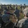 818th Engineer Company MOUT exercise 818th Engineer Company MOUT exercise