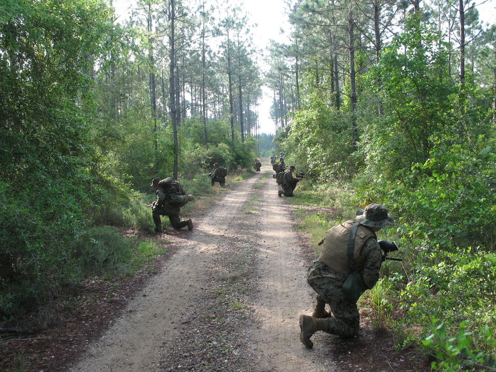 MATSG-42 heads to the field to hone grunt skills