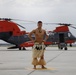 Celebrate the Heritage: Marine rehearses for Air Show performance