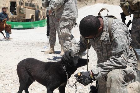Redeploying reserve-component soldiers screened for rabies
