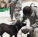 Redeploying reserve-component soldiers screened for rabies