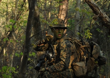Scout snipers lead from the front