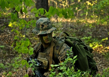 Scout snipers lead from the front