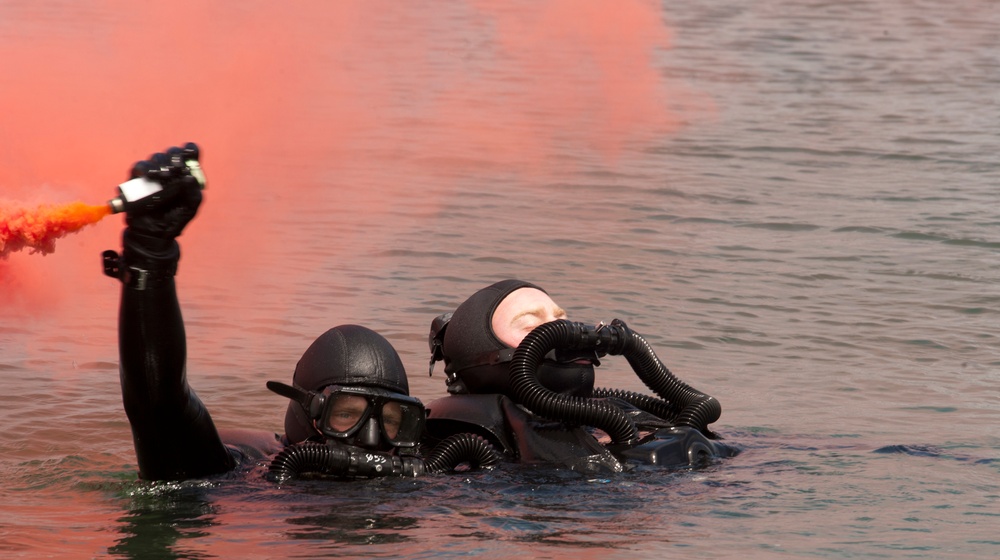 Simulated dive casualty drill