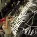 C-17 delivers critical supplies
