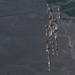 C-17 delivers critical supplies