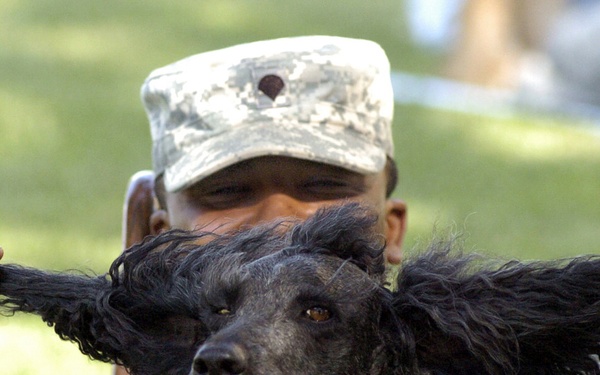 All 'ears' in a day's work