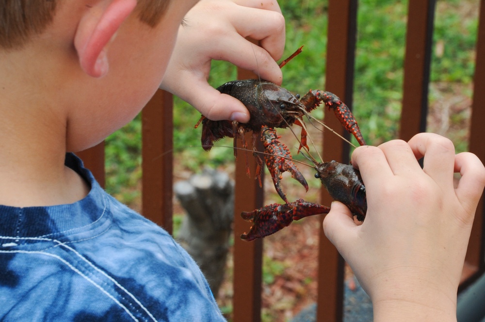 2012 Crawfish Festival