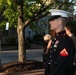 Marine Barracks Washington Evening Parade